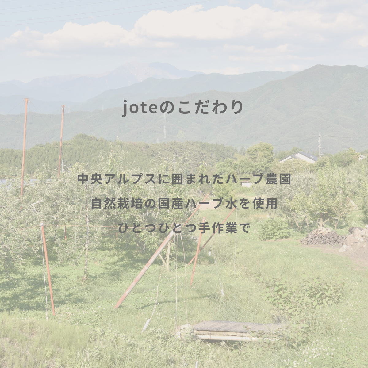 jote ♭2（フラット２）Perfume 30ml《金木犀の香り》オードトワレ