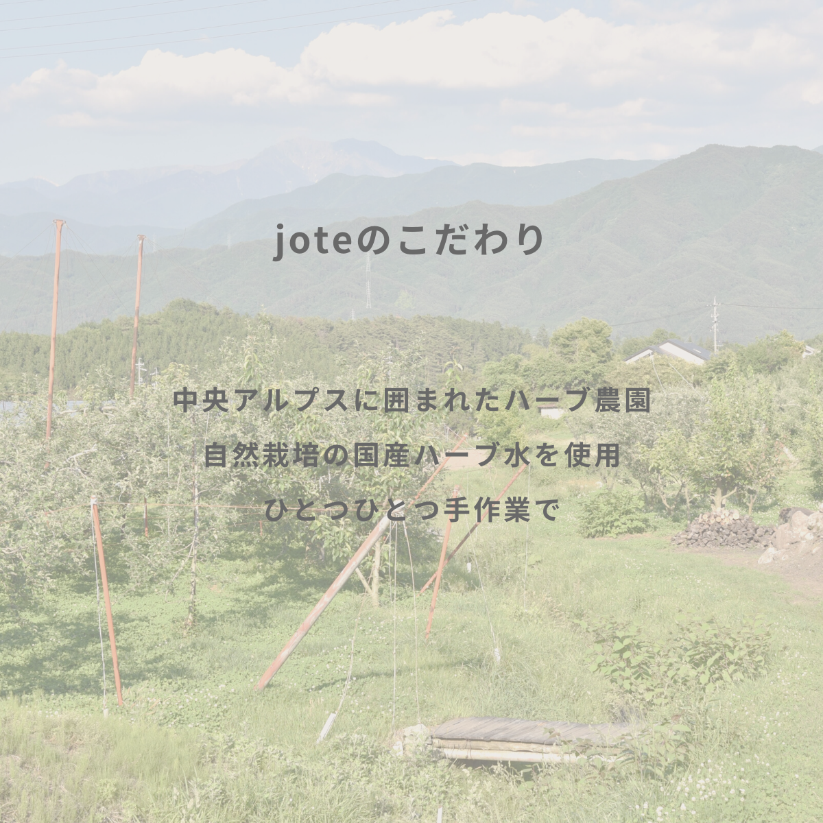 jote ♯３（シャープ３）《ダマスクローズの香り》 SkinCare お試しset 各5ml